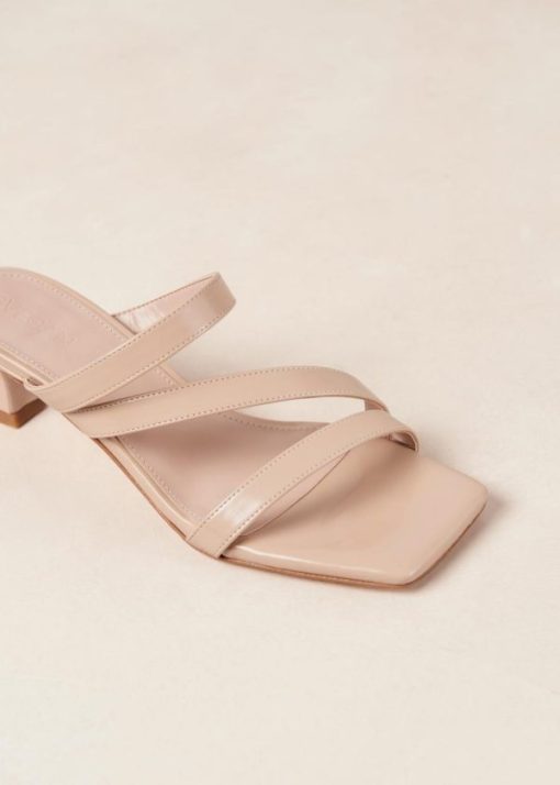 Modaary.shop01f62b31ed 8