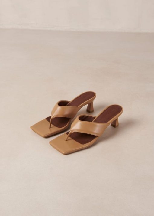 Modaary.shop02ac853fc0 5