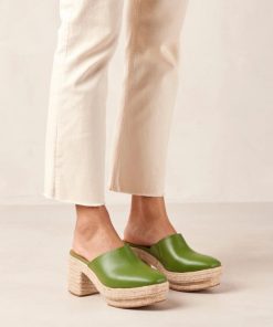 Modaary.shop031fa498e1 1