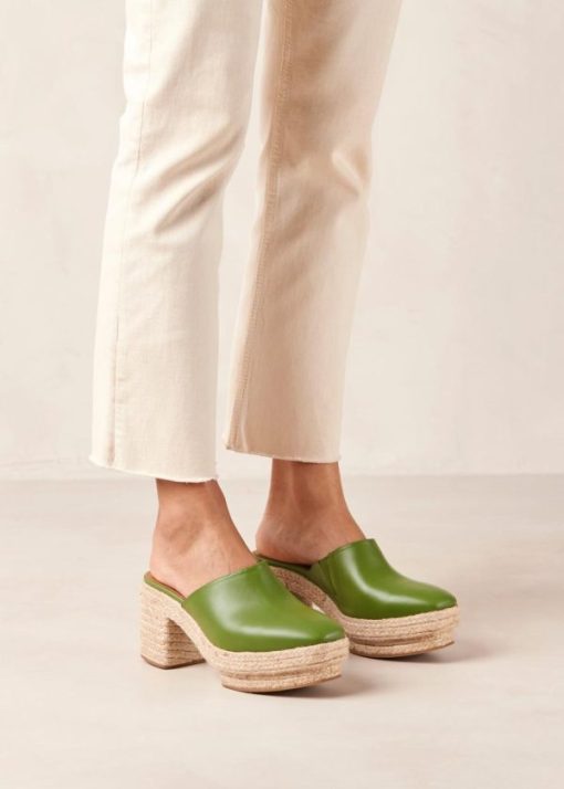 Modaary.shop031fa498e1 1