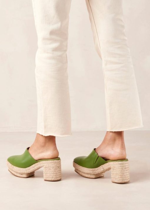 Modaary.shop031fa498e1 3