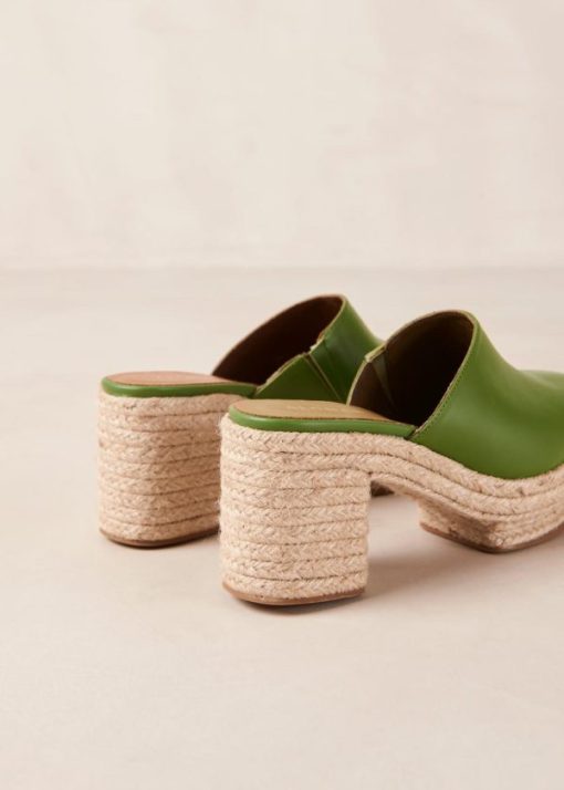 Modaary.shop031fa498e1 7