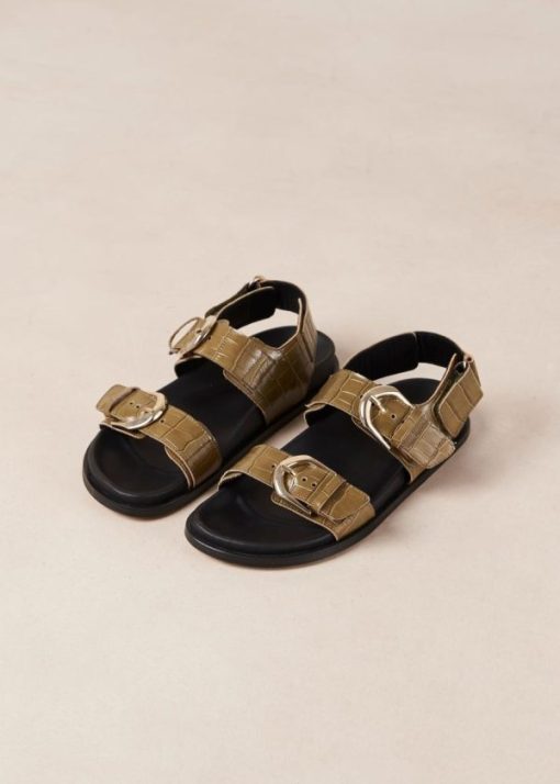 Modaary.shop04d5021de7 5
