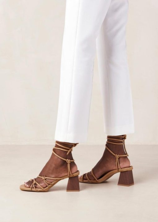Modaary.shop0565a745bd 5