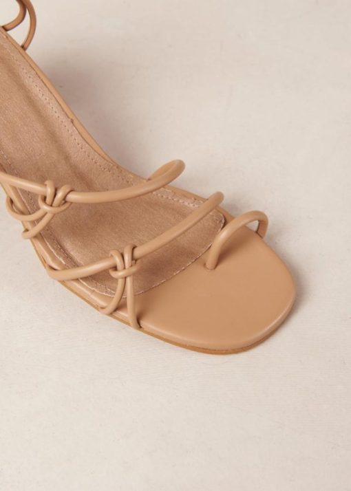 Modaary.shop0565a745bd 7