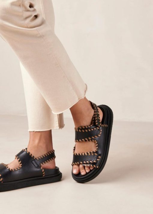 Modaary.shop0a698300fe 1