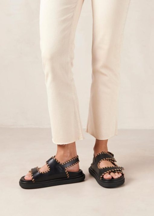 Modaary.shop0a698300fe 3