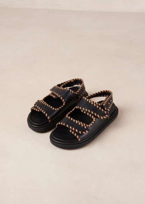 Modaary.shop0a698300fe 6