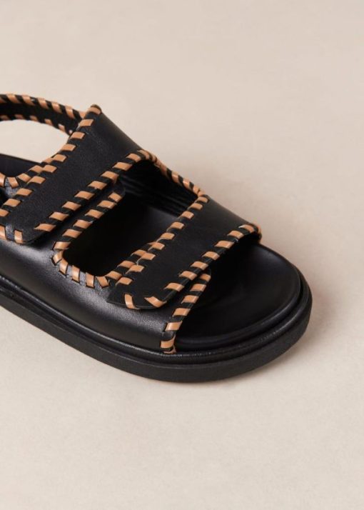 Modaary.shop0a698300fe 7