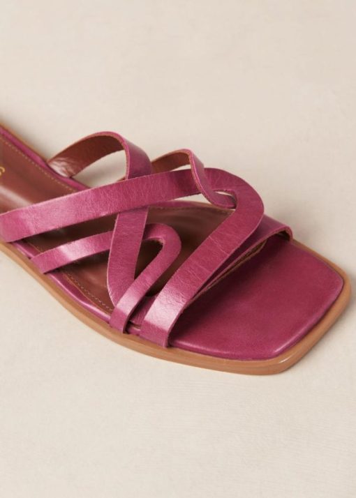 Modaary.shop0c3e93f15b 6