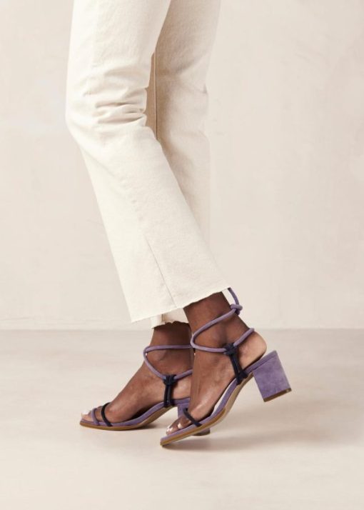Modaary.shop0c7118903e 4