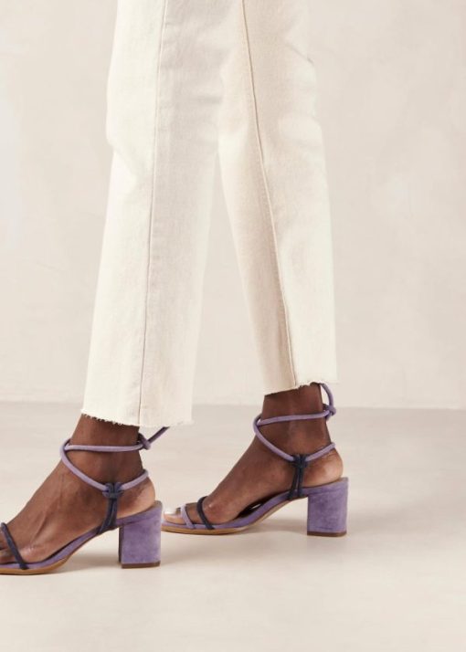 Modaary.shop0c7118903e 5