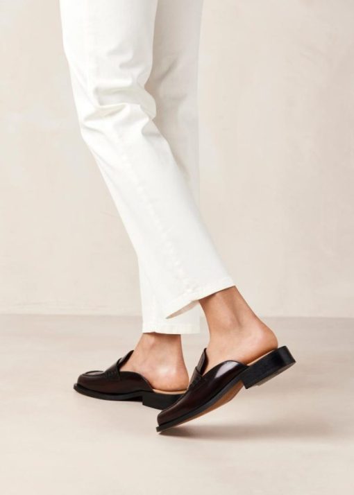 Modaary.shop11608bc238 1