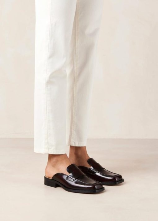 Modaary.shop11608bc238 3