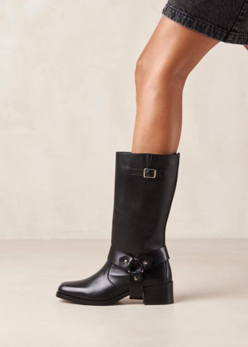 Modaary.shop1248e80765 1