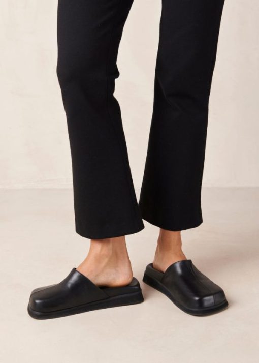 Modaary.shop1709a8bfcb 1