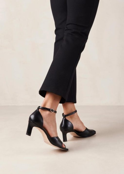 Modaary.shop1788ac5198 4