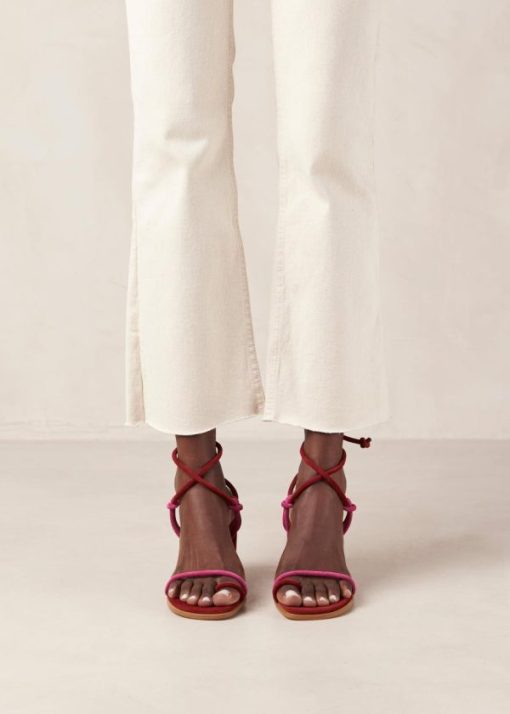 Modaary.shop1869d784c9 1