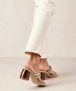 Modaary.shop18eb45c10a 1