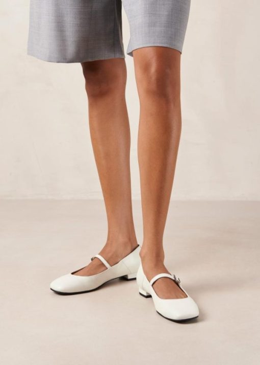 Modaary.shop1e6646ca75 1