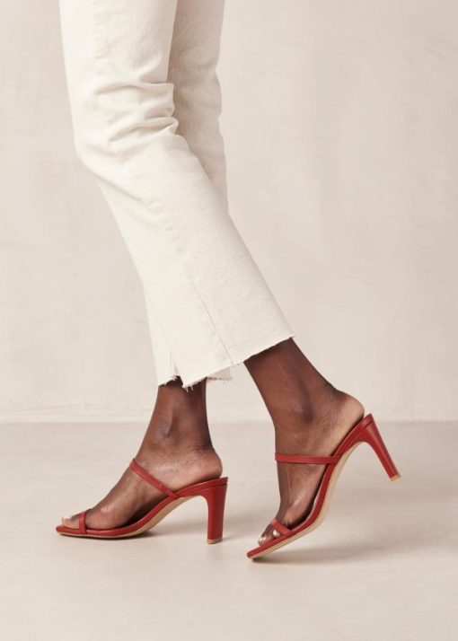 Modaary.shop2436dca143 1
