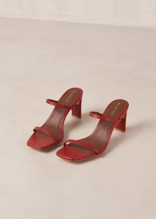 Modaary.shop2436dca143 6