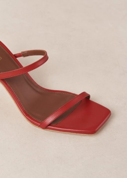 Modaary.shop2436dca143 7