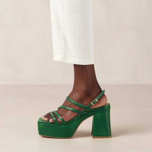 Modaary.shop24e9bc311b 2