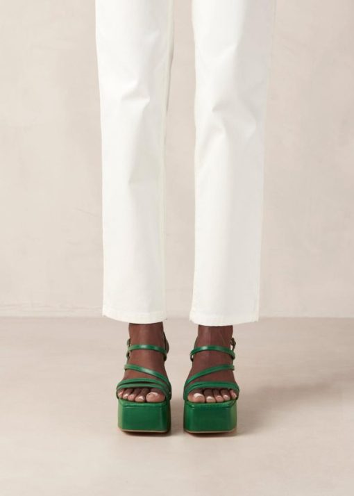 Modaary.shop24e9bc311b 3