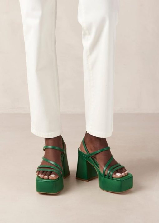 Modaary.shop24e9bc311b 4