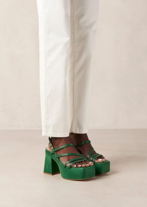 Modaary.shop24e9bc311b 5