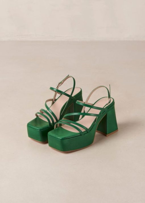 Modaary.shop24e9bc311b 6