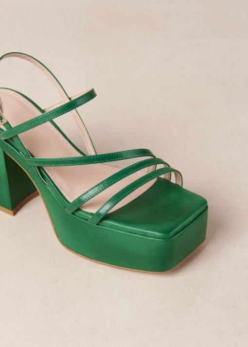 Modaary.shop24e9bc311b 7