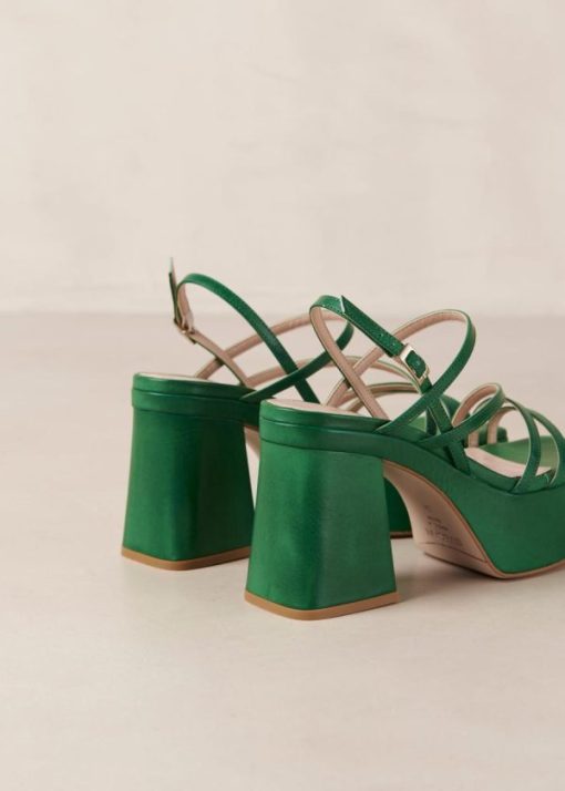 Modaary.shop24e9bc311b 8