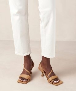Modaary.shop27ec182919 1