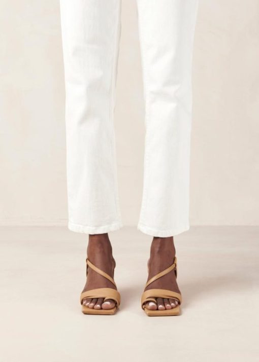 Modaary.shop27ec182919 3