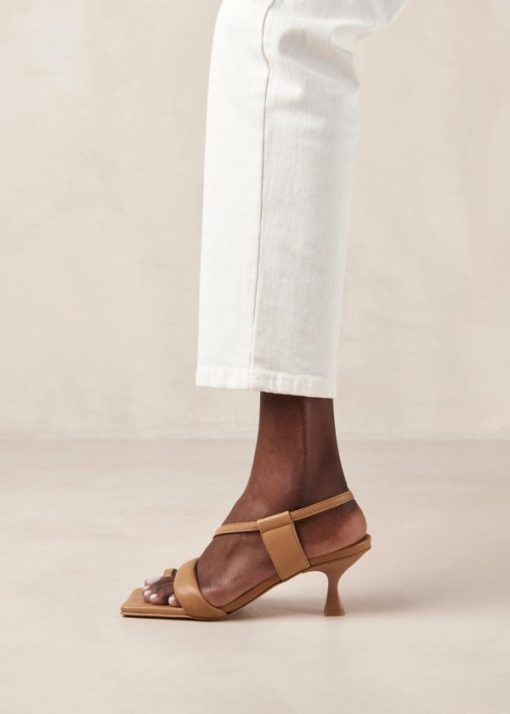 Modaary.shop27ec182919 4
