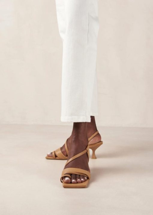 Modaary.shop27ec182919 5