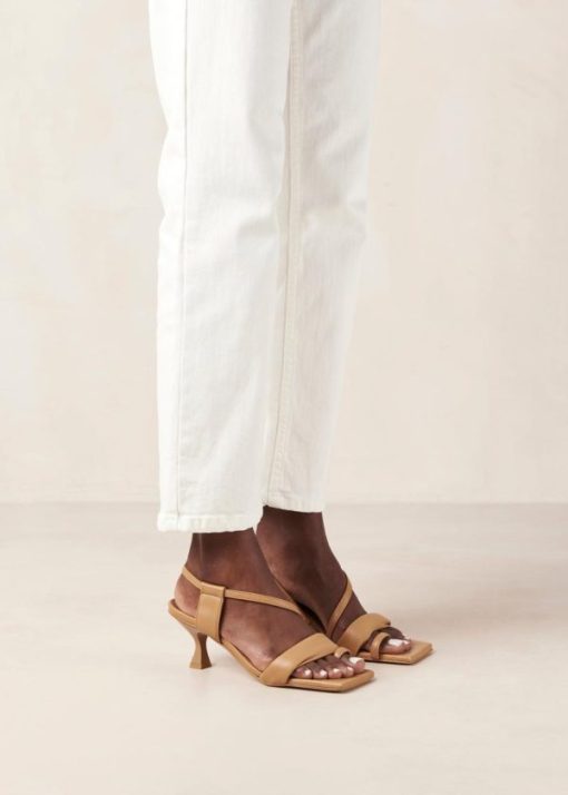Modaary.shop27ec182919 6