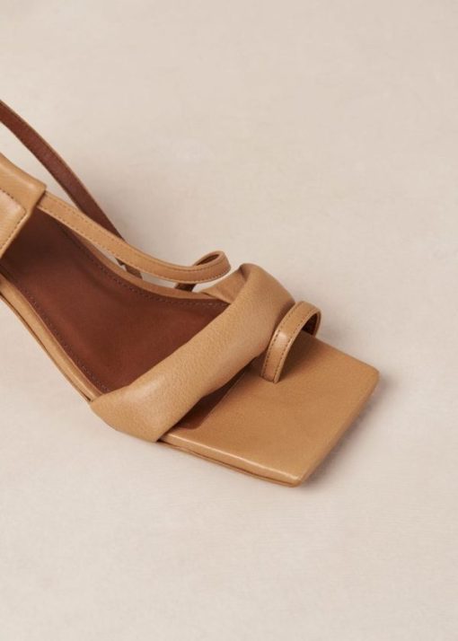 Modaary.shop27ec182919 8