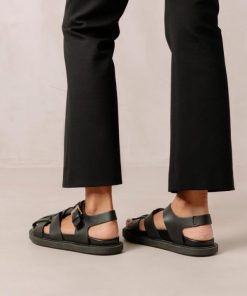 Modaary.shop28a6b2c92d 1