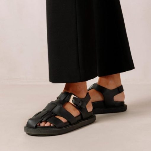 Modaary.shop28a6b2c92d 2