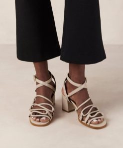 Modaary.shop2b254e377a 2