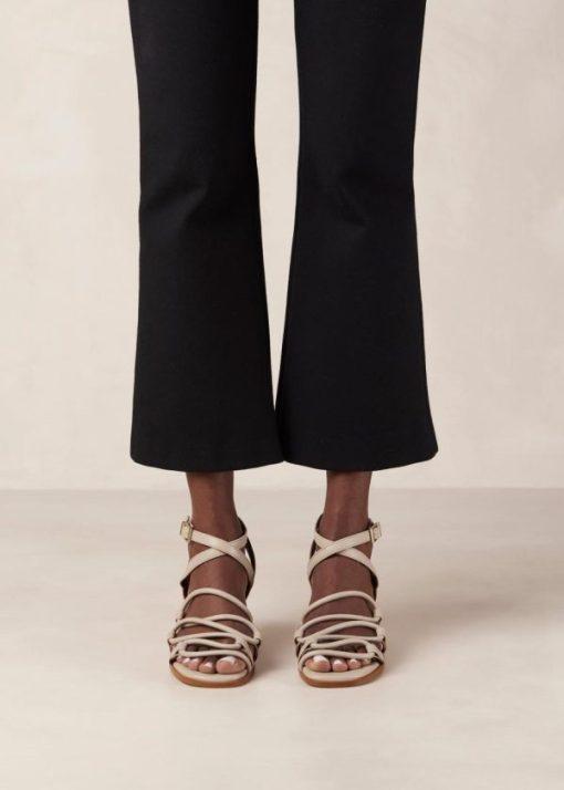 Modaary.shop2b254e377a 3