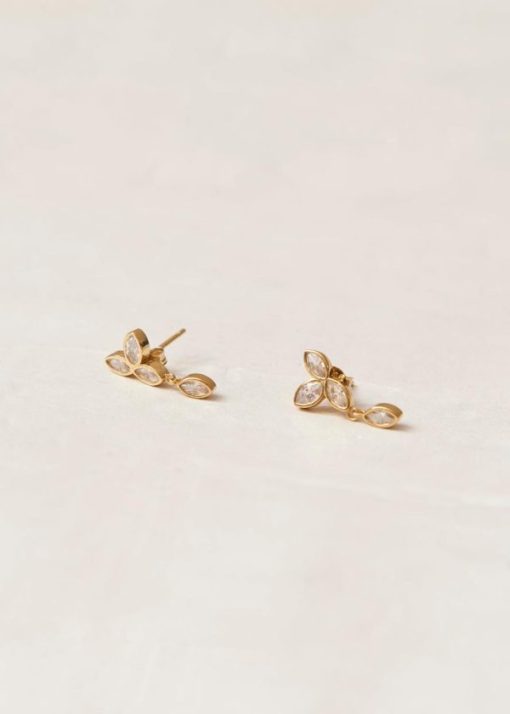 Modaary.shop2d13c718b4 5