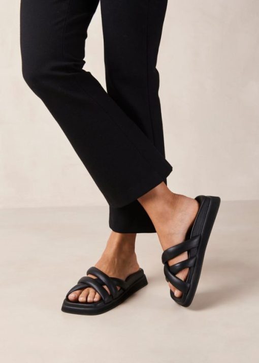 Modaary.shop2e387d3c0b 1