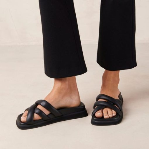 Modaary.shop2e387d3c0b 2