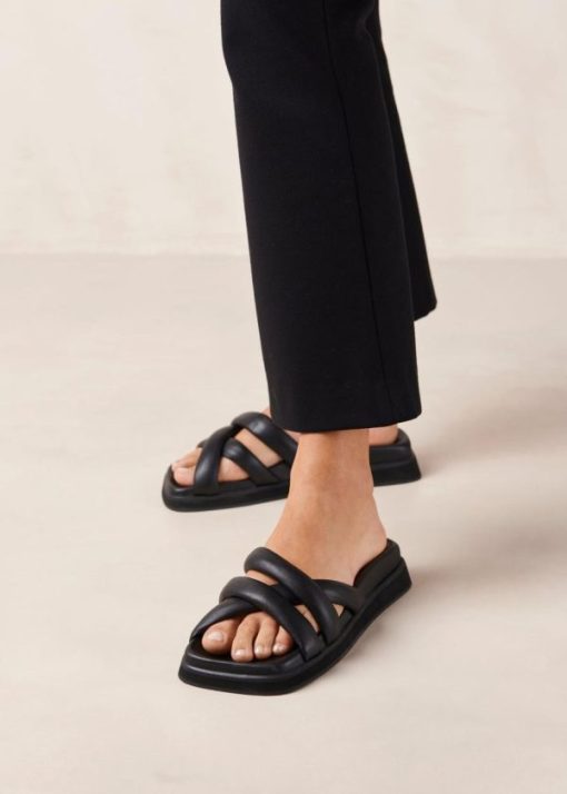 Modaary.shop2e387d3c0b 3