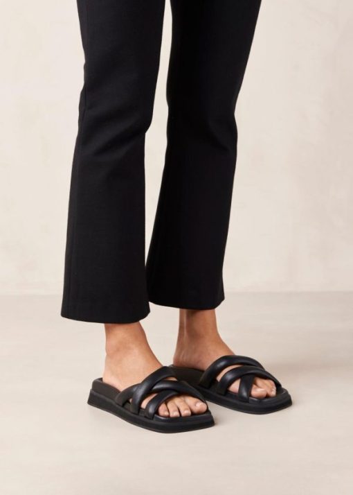 Modaary.shop2e387d3c0b 4