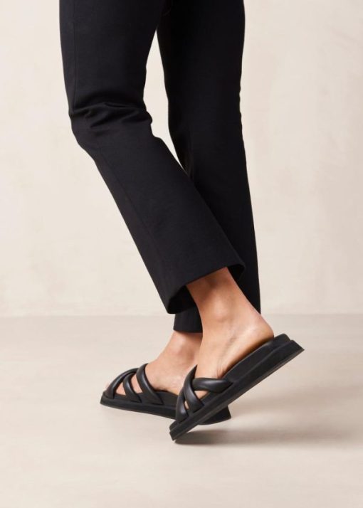 Modaary.shop2e387d3c0b 5